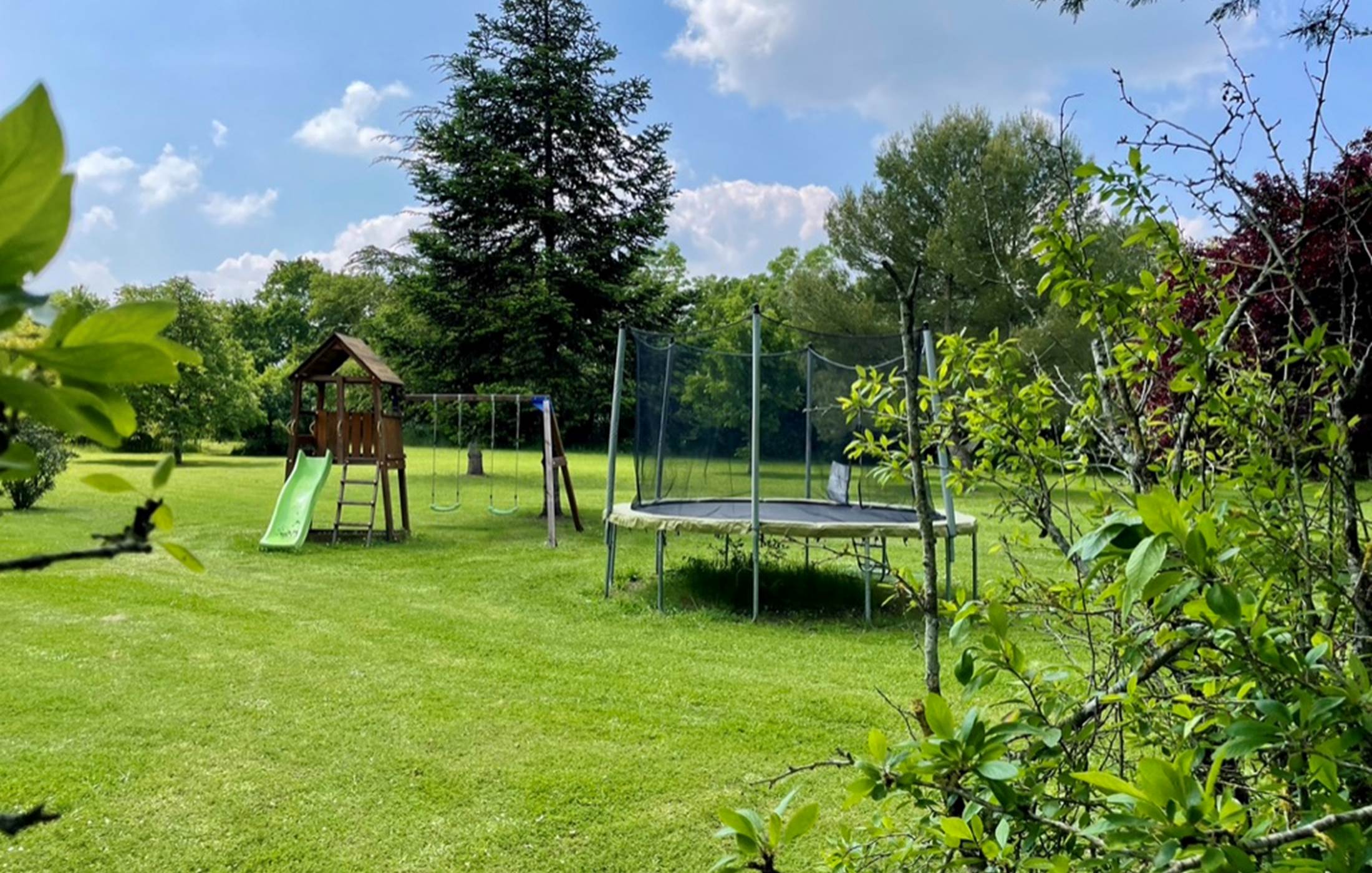 413E1105-88E5-4BDA-BEE7-4CEF1338F1FB_1_105_c