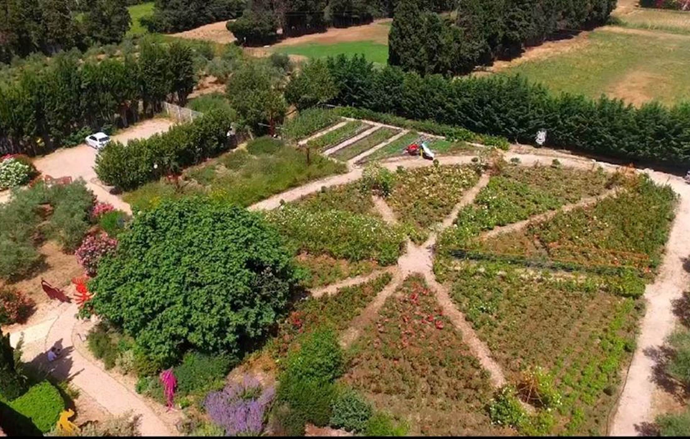 mas-des-figues-photo-aérienne-roseraie