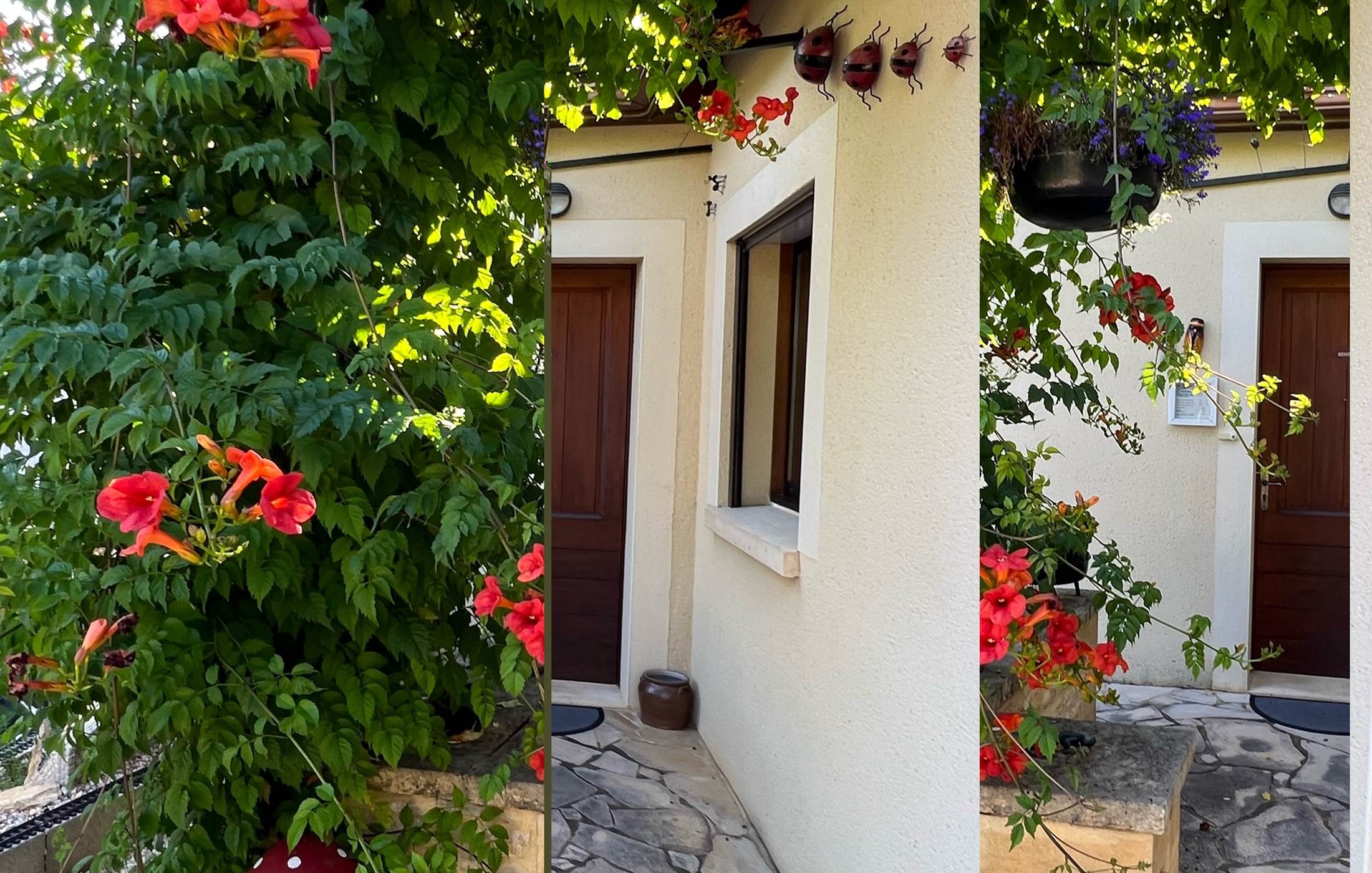 l'entrée de la maison