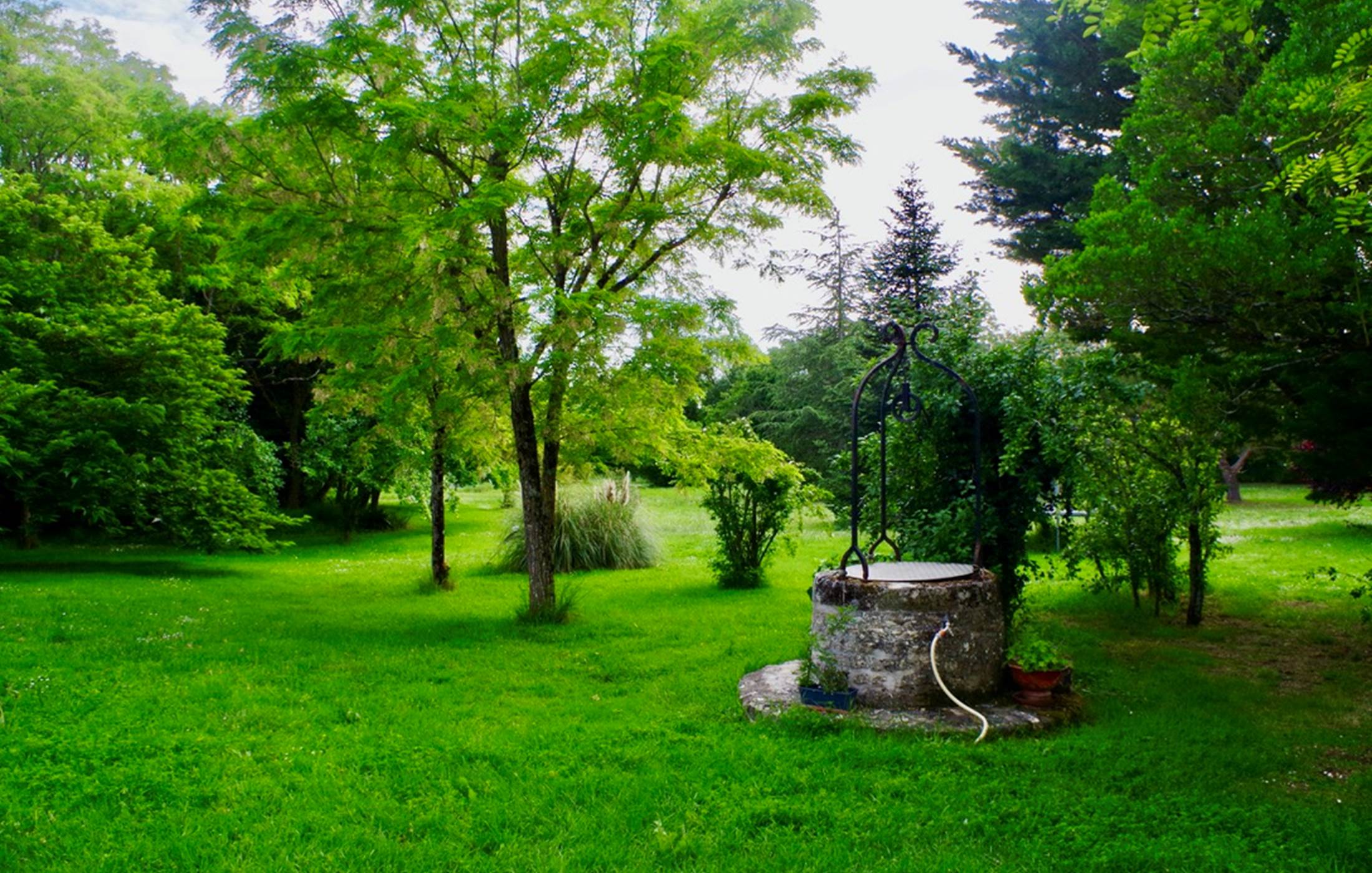 43CA87D3-4950-4484-9E7E-CDBEA6FB215F_1_105_c