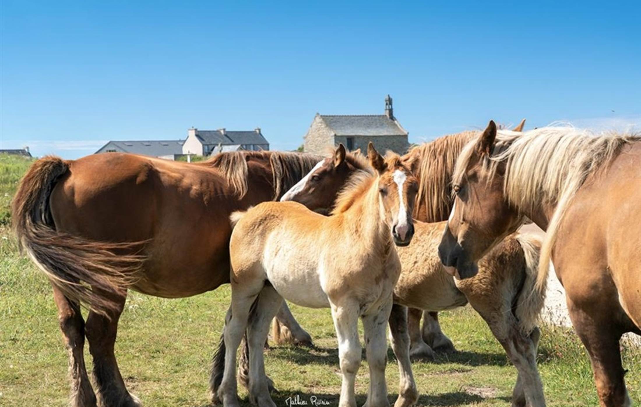 Landunvez----Credit-photo-Mathieu-Rivrin