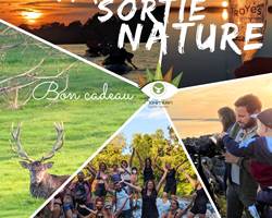 bon cadeau 2.jpg-gift