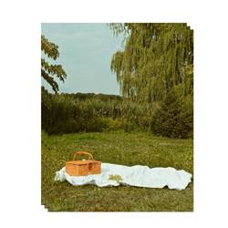 pique-nique-photo-options