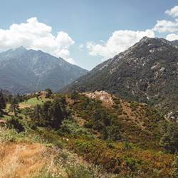 photo1651415830640fad8d97297e1-photo-around