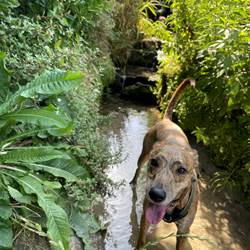 IMG_2100-photo-options