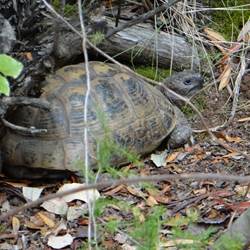 acapulta2-photo-around