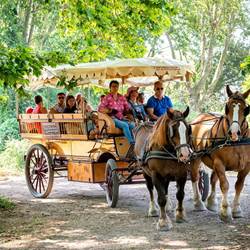 En-Balade-photo-around