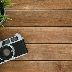 pexels-tirachard-kumtanom-112571-733853