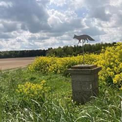 Entrée de la propriété-photo-options