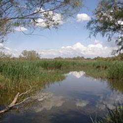 254336c5-ef3a-44f0-8070-73f4f4aa2860-photo-around