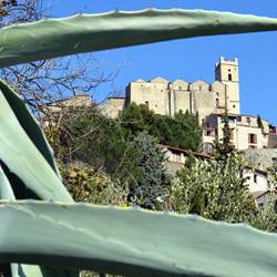 EUS (22)-photo-around