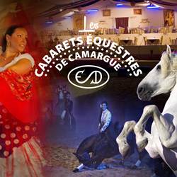 image-cabaret2016-photo-around