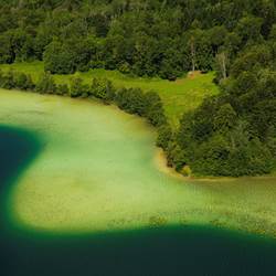 GettyImages-82838468-photo-around