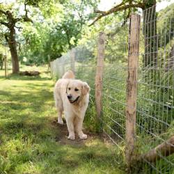 Spicy_Ecolodge_-18-photo-options