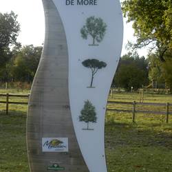 Arboretum-photo-around