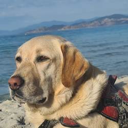 je m'appelle Biancu-photo-options