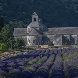 Abbaye de Sénanque-photo-around