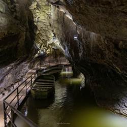 92A1132-photo-around