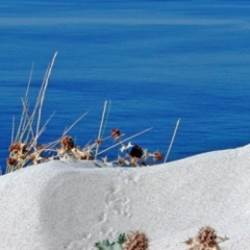 pna_130_1381843307-photo-around