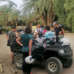 Sous les palmiers bleus - randonnées en Quads Tiznit