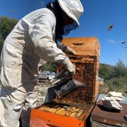 6808ae4b9da2d703943741-photo-around