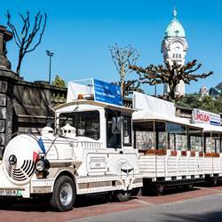 Petit Train DOTTO - 2019-photo-around