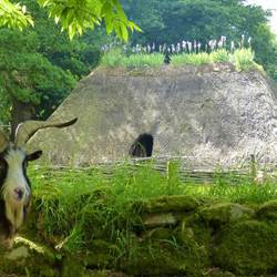 Village-de-l-An-Mil-Melrand-photo-around