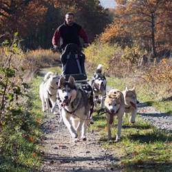 175006560_4-photo-around