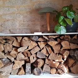 Détail mignon bois paysage