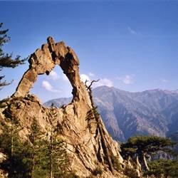 arche de corte-photo-around