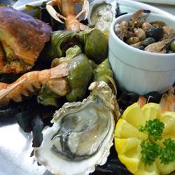 P1040915_1-photo-around