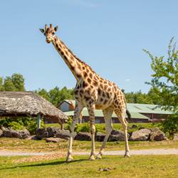 0R0A4483web-photo-around