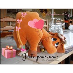 Votre escapade à deux maintenant ou plus tard au Ranch des Lacs Chambre cosy et table gourmande-photo-news