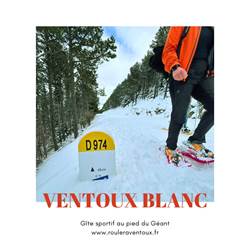 Le Mont Ventoux enneigé-photo-news