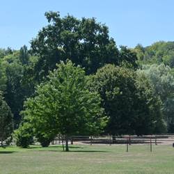 Vue sur le parc arboré