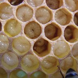 9302697d-5d8d-4740-badd-22e4e6cb04ca-photo-around