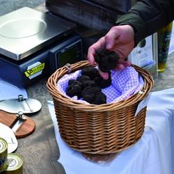 Marché aux truffes de Richerenches-photo-news