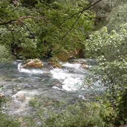 La source-photo-news