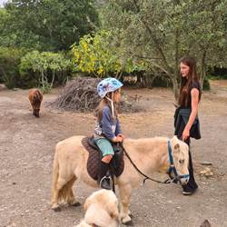 Balade à poney accompagnée