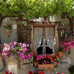 81989981-photo-around