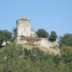 ac201242-3c2e-4d92-ae64-cf0f7edc466a-photo-around