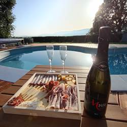 Découvrez nos plateaux apéritifs authentiques au Manoir du Colombier, composés de charcuterie et fromages locaux, accompagnés d'une bouteille de vin blanc Molette Mollex. Parfaits pour un moment convivial ou une soirée romantique. 15€/personne.