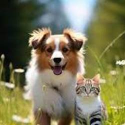 te´le´chargement-photo-options