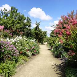 c867497e-bce0-40e4-9f05-bd51d72909da-photo-around