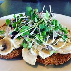 voorgerecht toast champignons 2