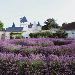 00_6096-photo-around