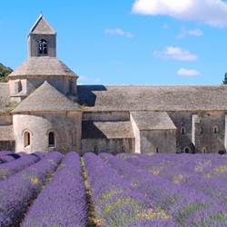 Abbaye Notre-Dame de Sénanque-photo-news