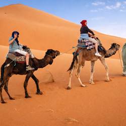 Traversée des dunesà dos de dromadaire