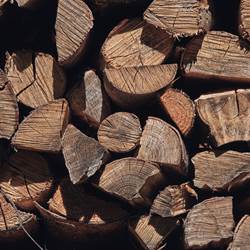 bois pour cheminée ou barbecue