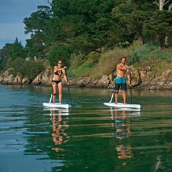 531218_cna-paddle-1_0